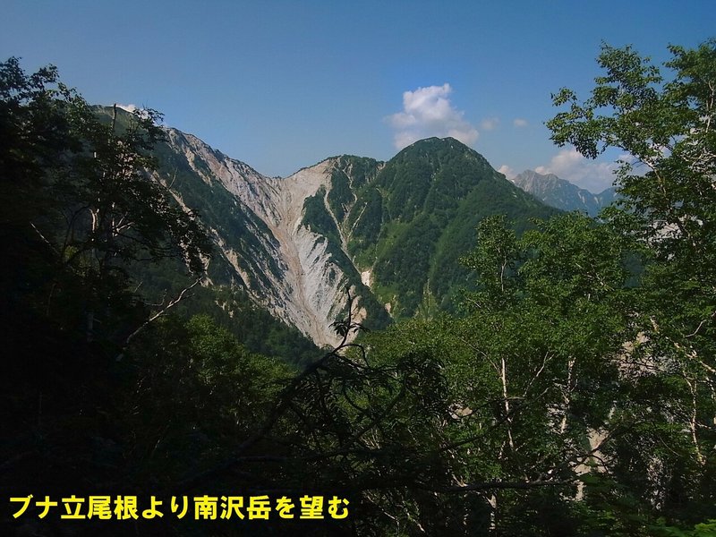 8月14日ブナ立尾根より南沢岳