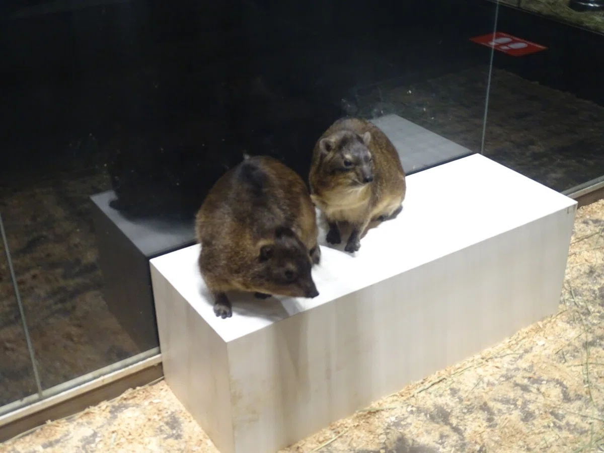 画像120