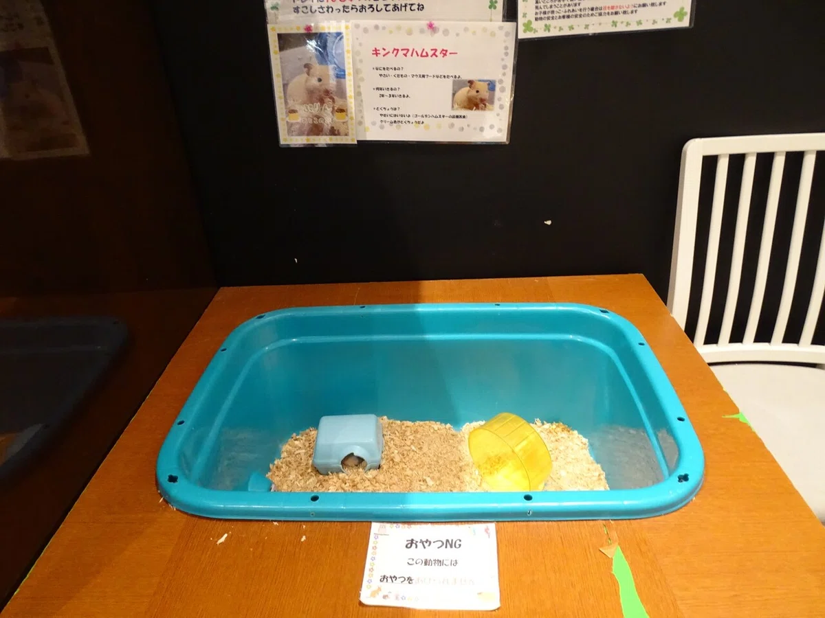 画像111