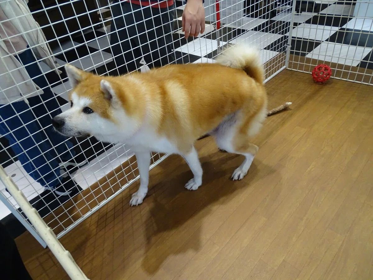 画像123