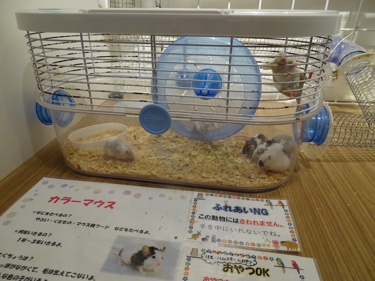 画像115