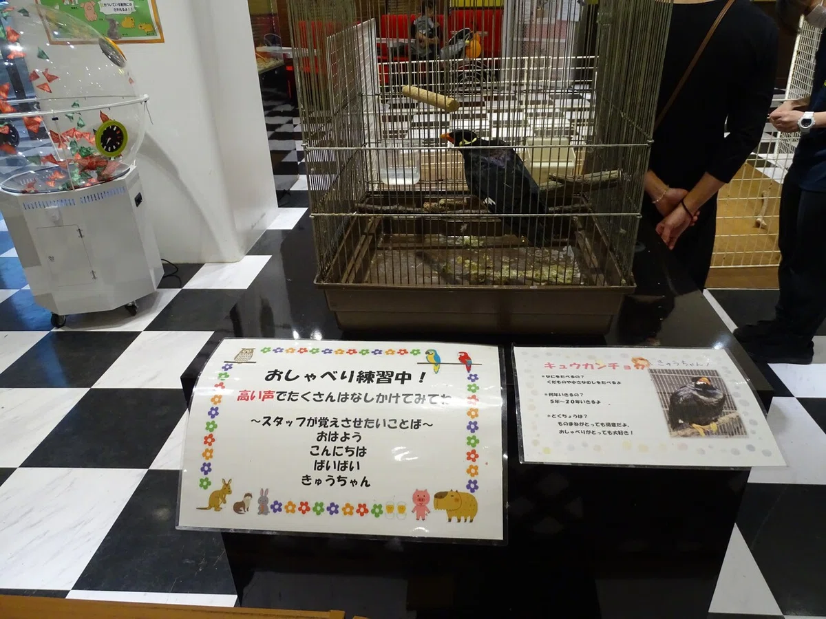画像126