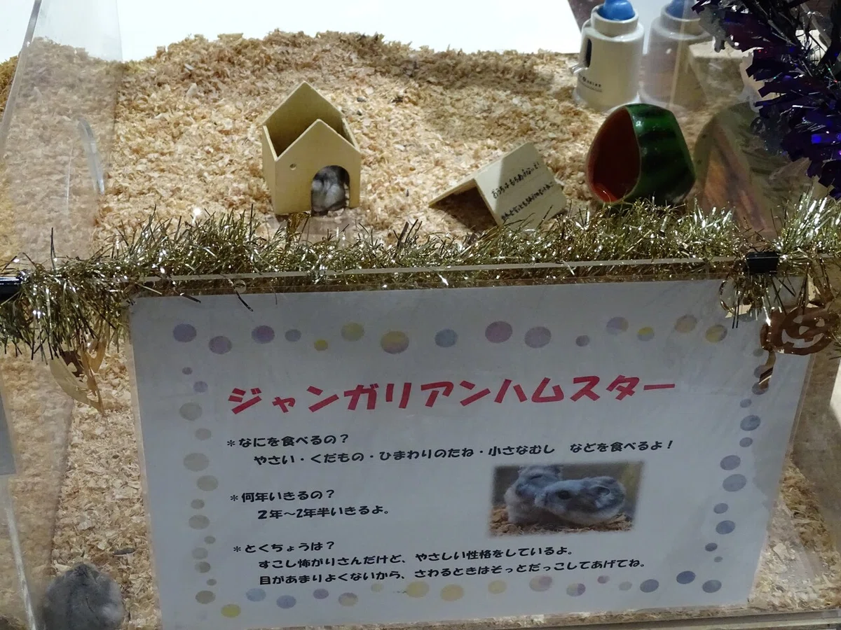 画像108