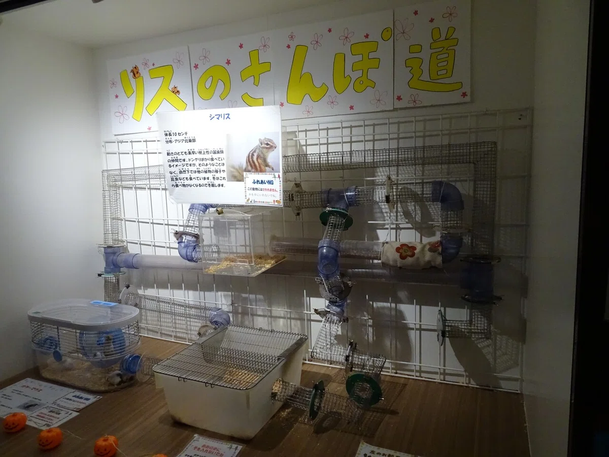 画像113