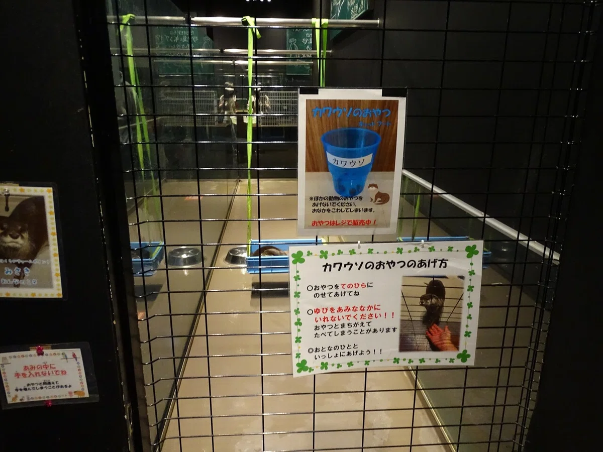 画像117