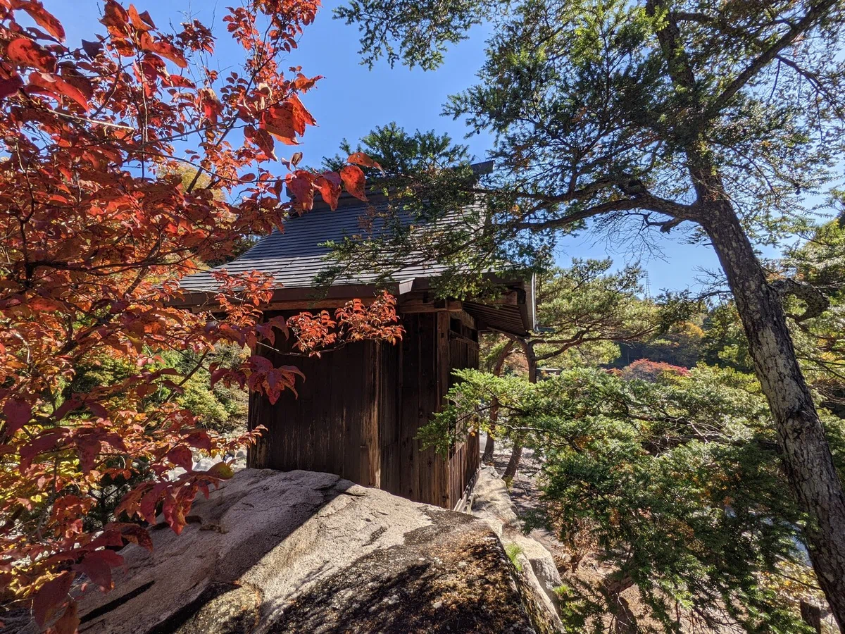 画像25