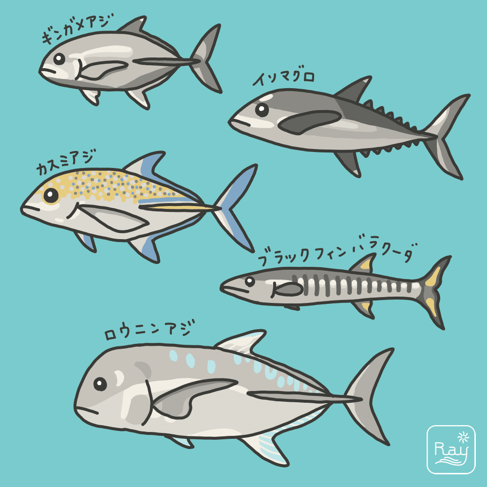 おさかならくがき16 Ray Note