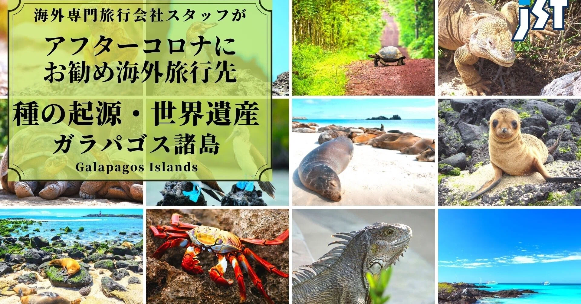 種の起源・世界遺産の『ガラパゴス諸島』｜ジェイエスティ@旅行会社