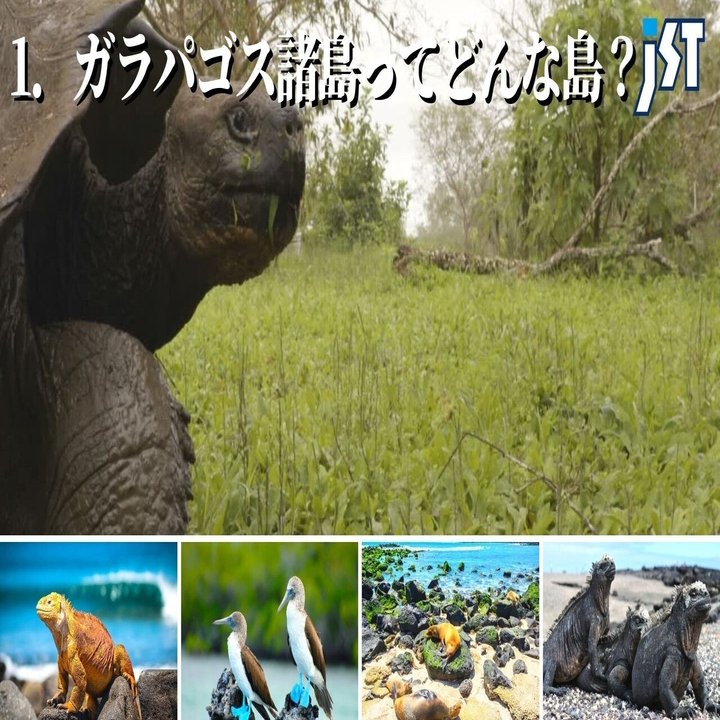 種の起源 世界遺産の ガラパゴス諸島 ジェイエスティ 旅行会社 知って得する海外情報を投稿してます Note