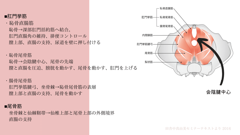 画像14