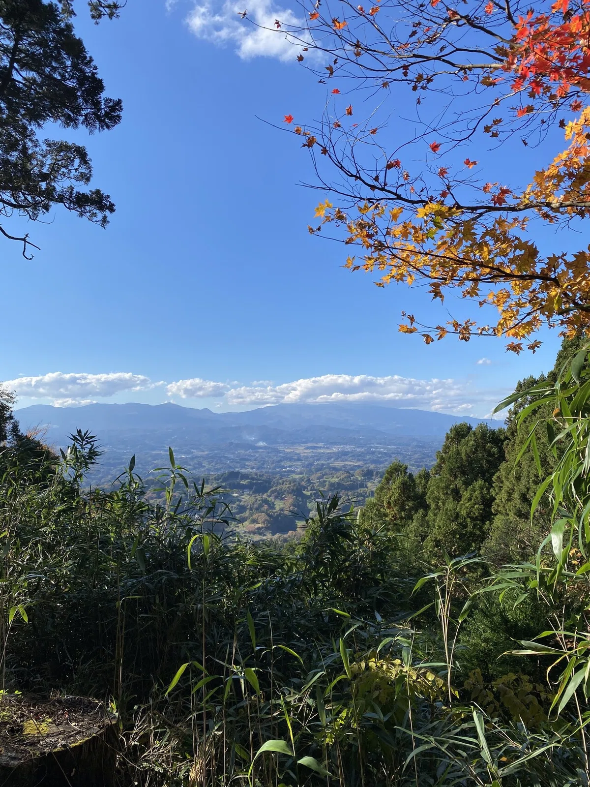 画像7