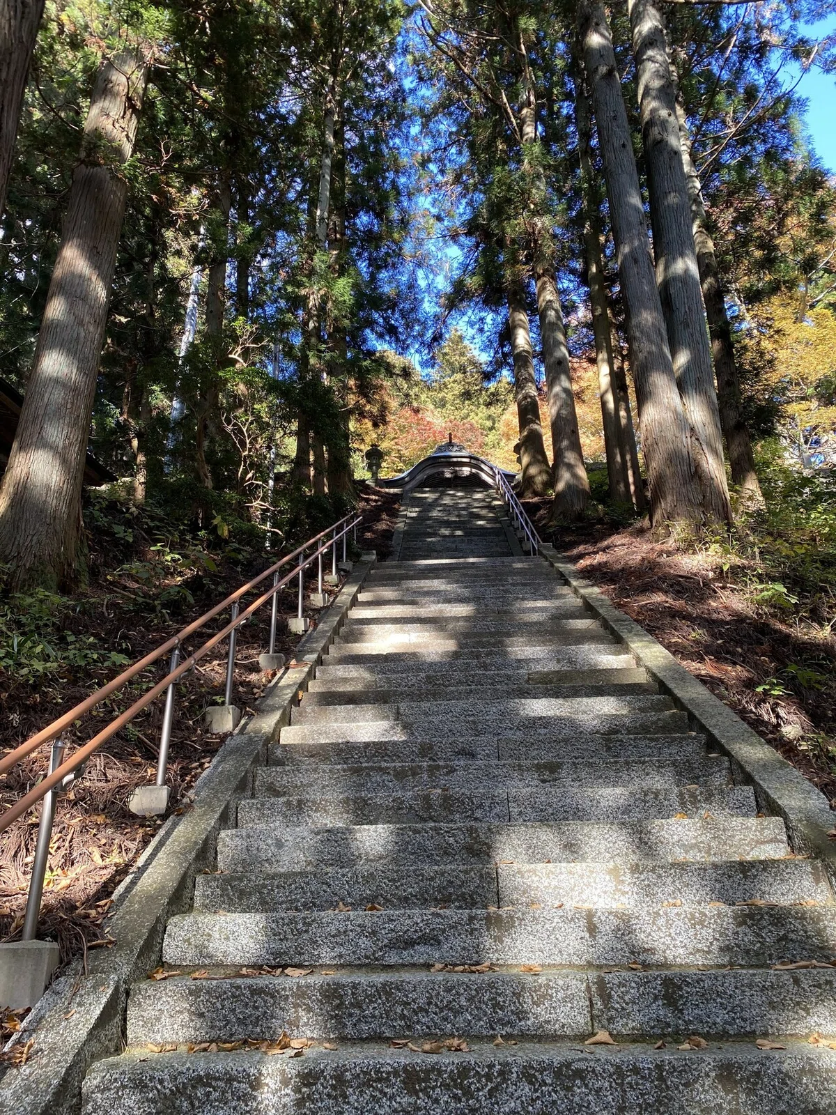 画像8