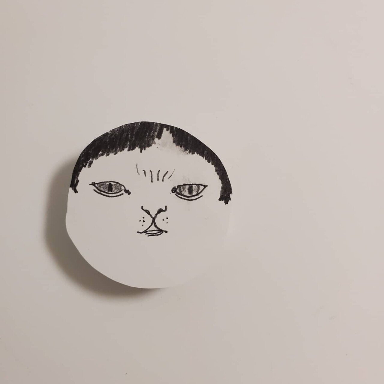 猫の幸 森田miw Note