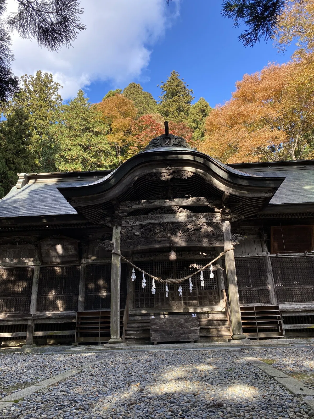 画像9
