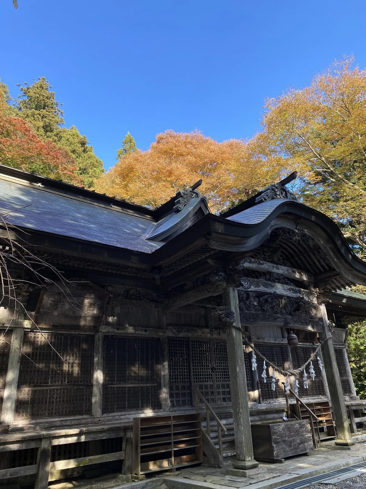 画像10
