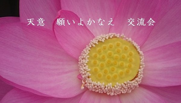 天意 願いよかなえ 交流会《全プラン》