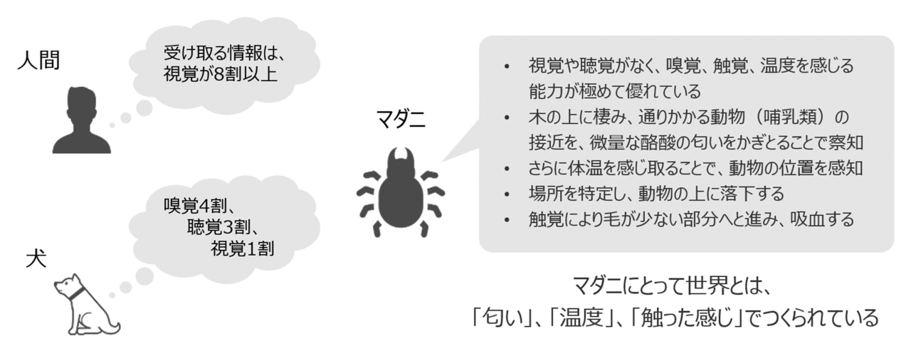 ❤在庫台数限定❤ ルドルフ・シュタイナー 十二感覚論&続・十二感覚論