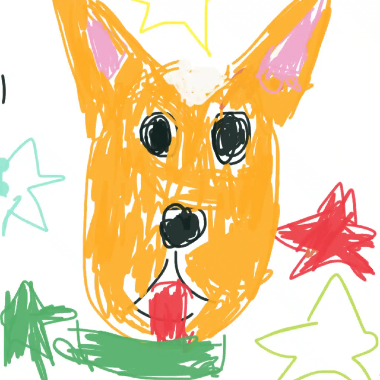 犬や猫