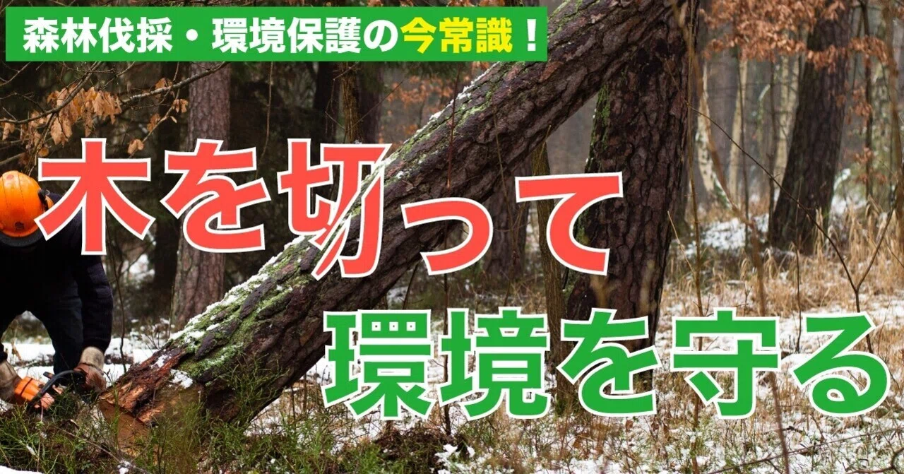 木を切って 環境を守る 森林破壊 環境保護 日本の 今常識 を徹底解説 Wakamiya Yuma Note 木を切って 環境を守る 森林破壊 環境保護 日本の 今常識 を徹底解説 Wakamiya Yuma Note