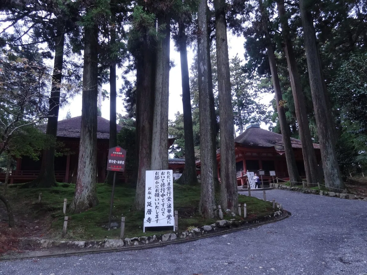 画像8