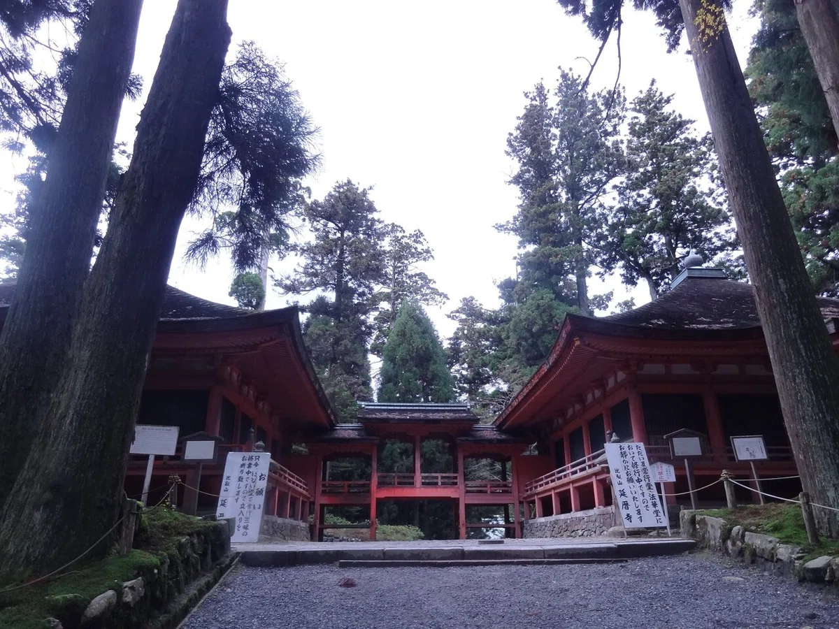 画像9