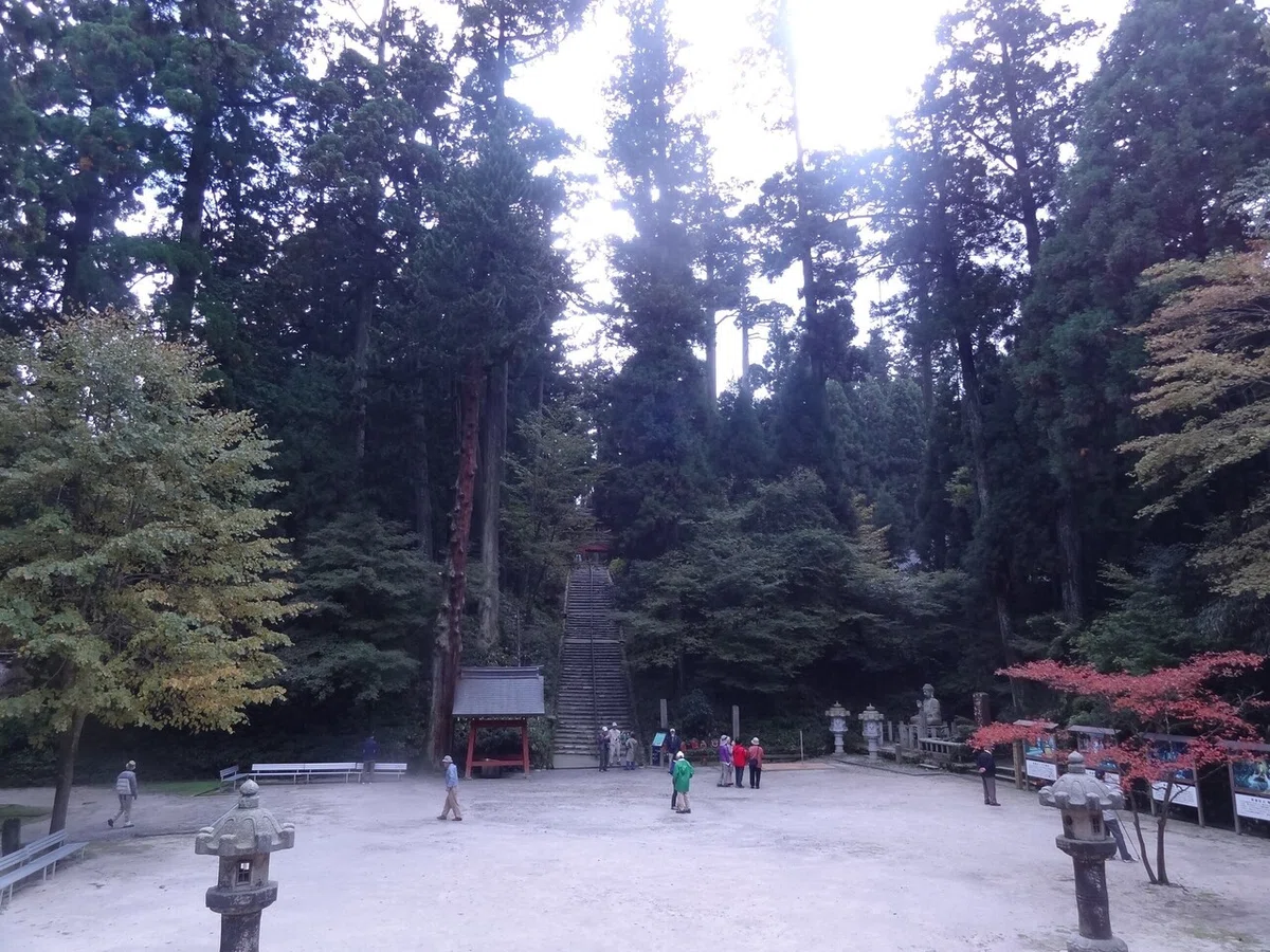 画像13