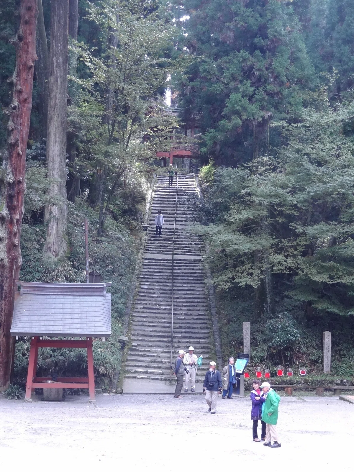 画像14