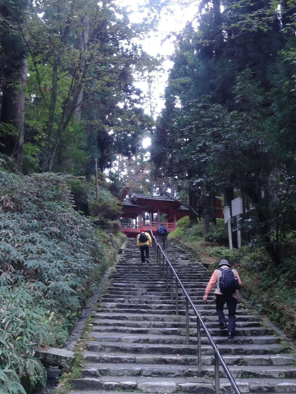 画像15
