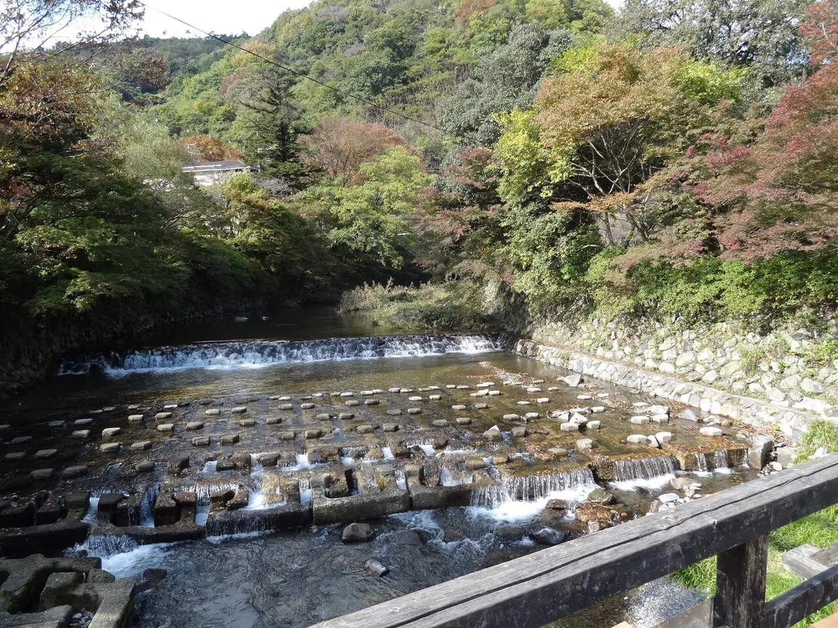 画像18