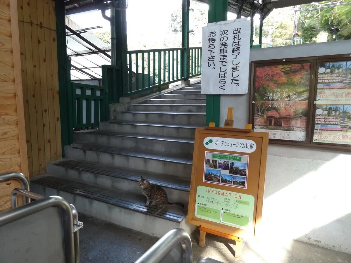 画像20