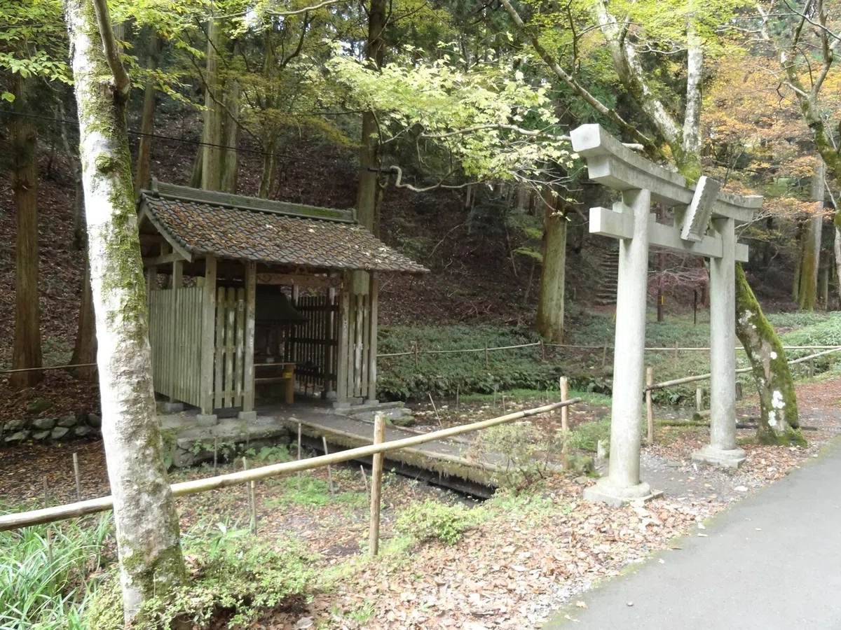 画像24