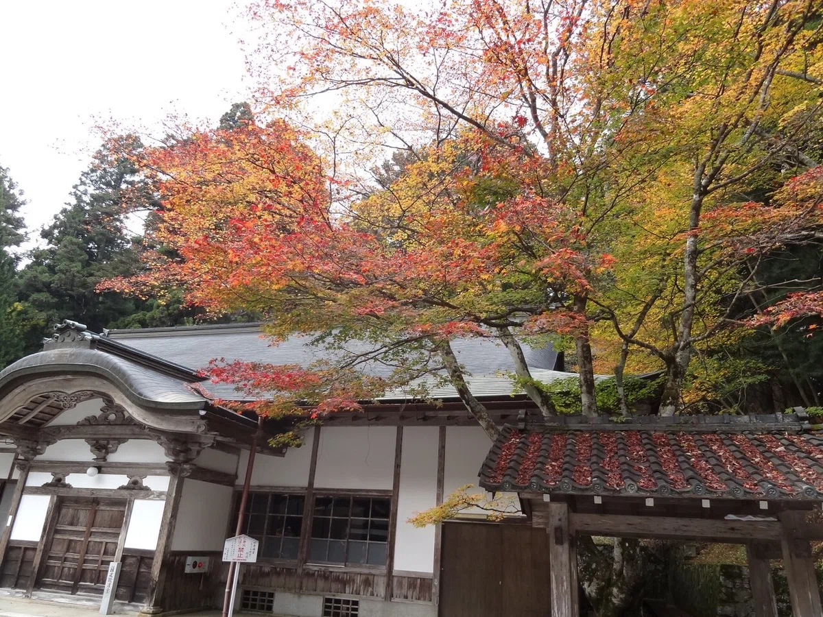 画像30
