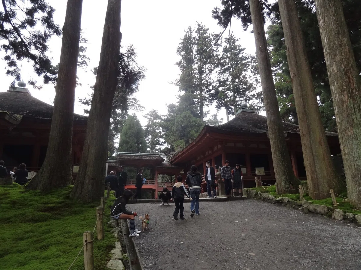 画像32