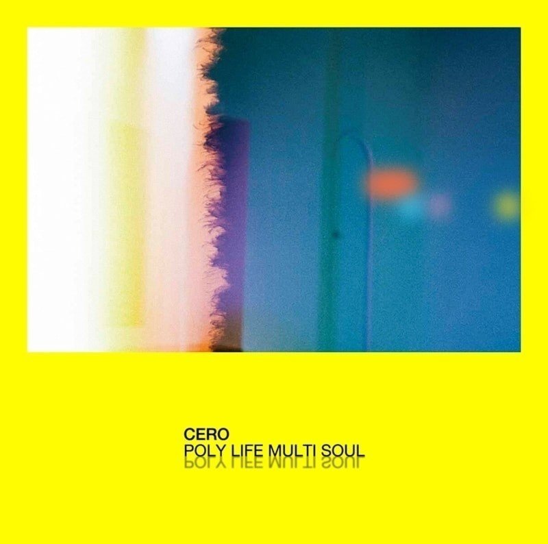 Cero Poly Life Multi Soul フジイ サダモリ Note
