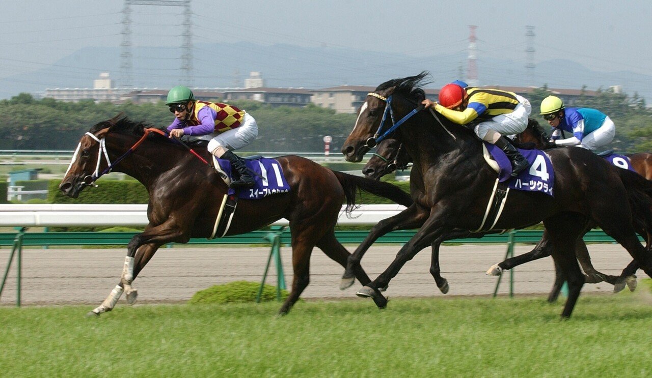 ウマ娘」の魔法少女は牝馬版ゴルシ！？ワガママお嬢様