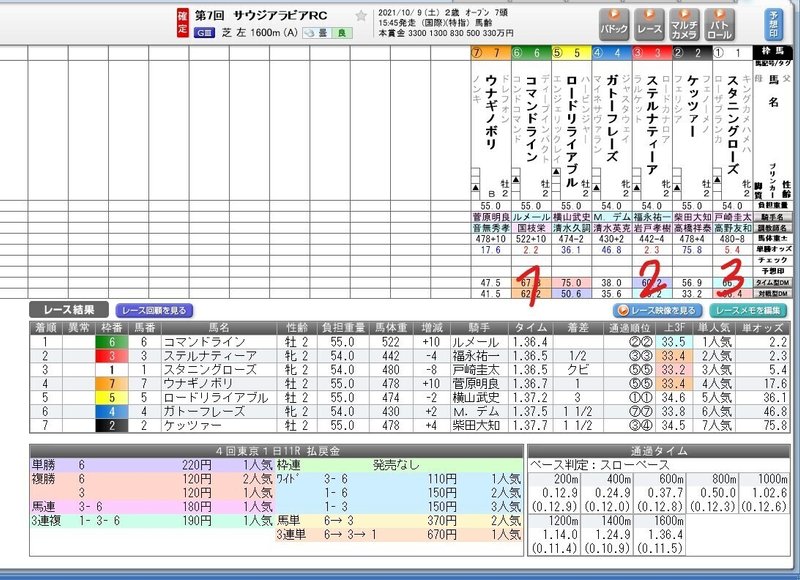 サウジアラビヤ　結果