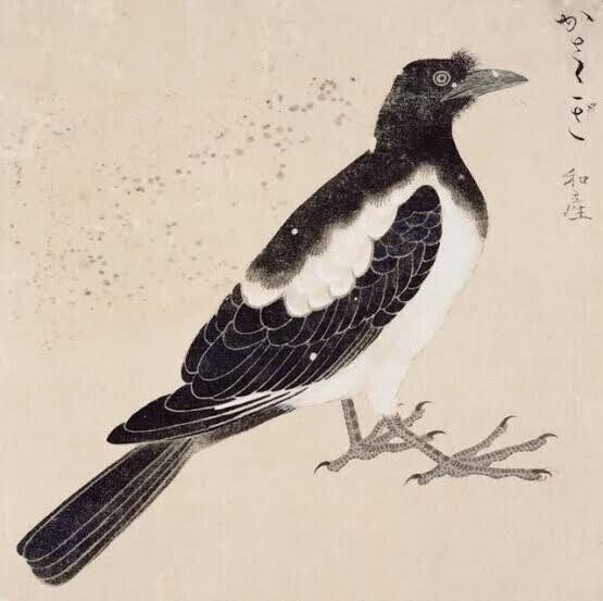 第1823回 古文書に現れた鳥の年号｜翆野 大地