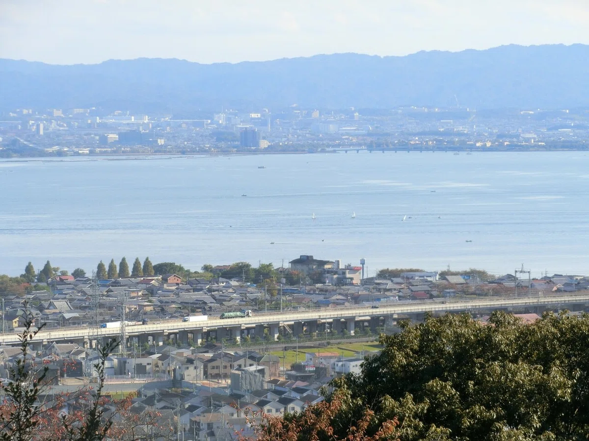 画像8