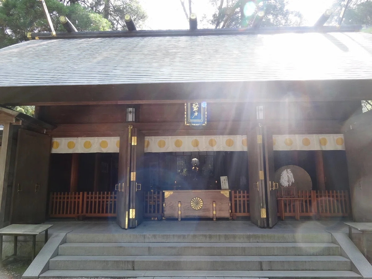 画像7