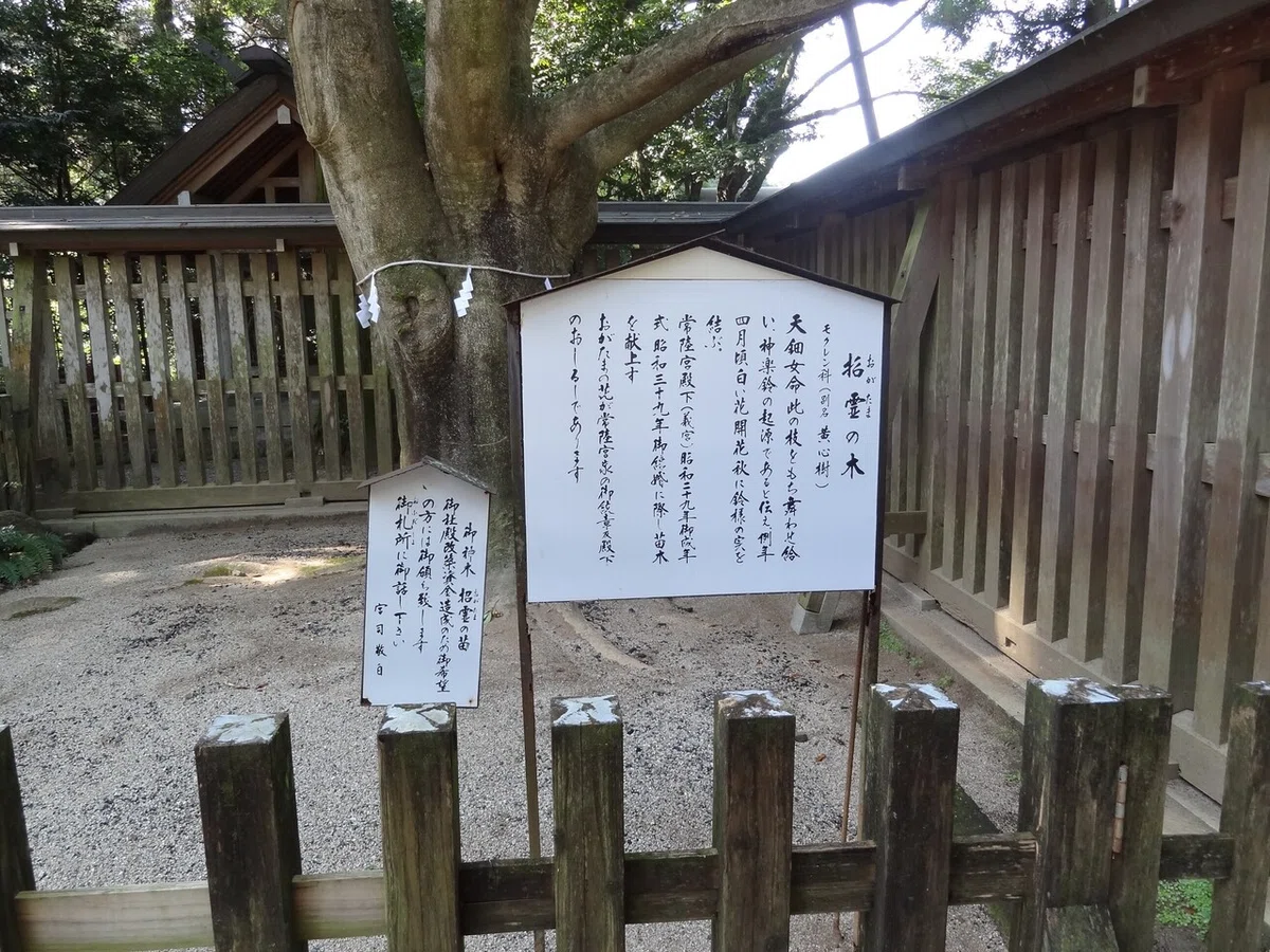 画像8