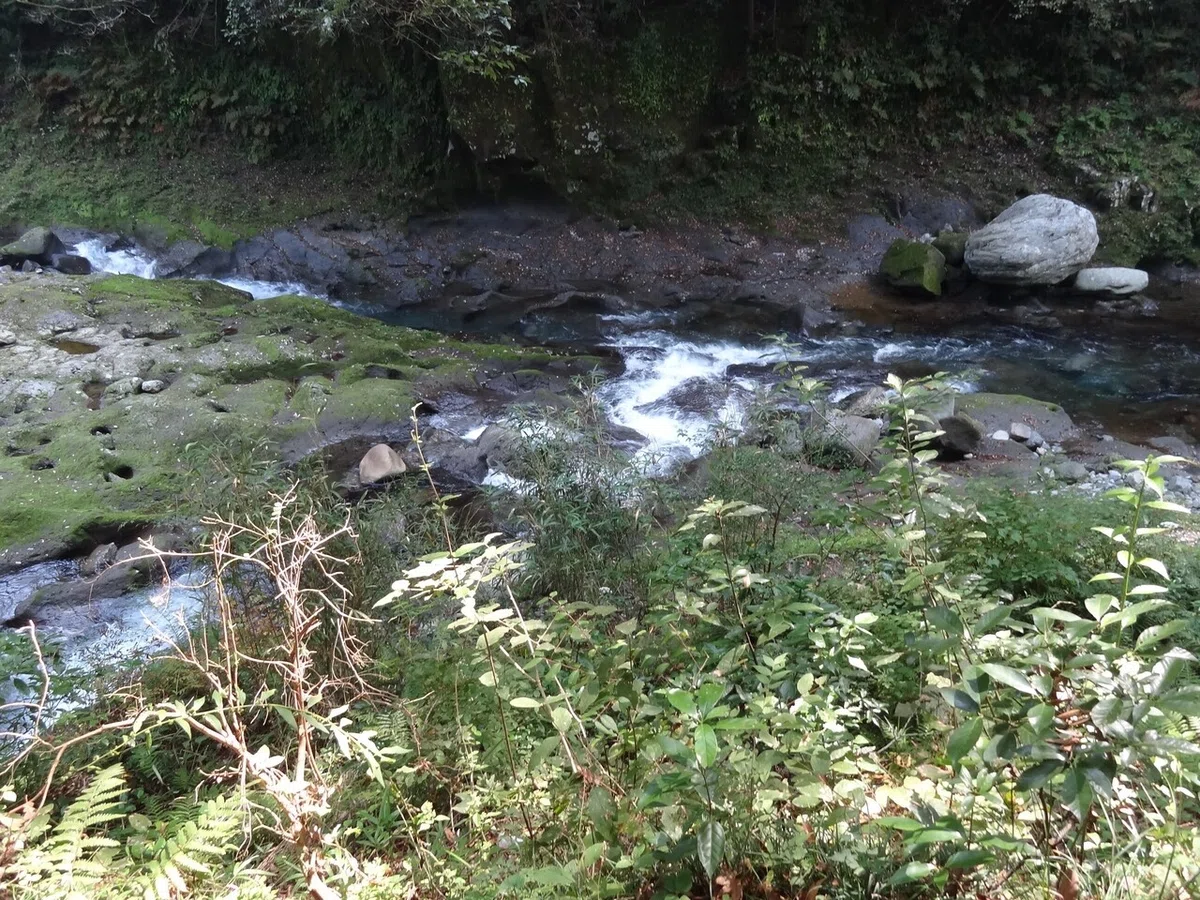 画像13