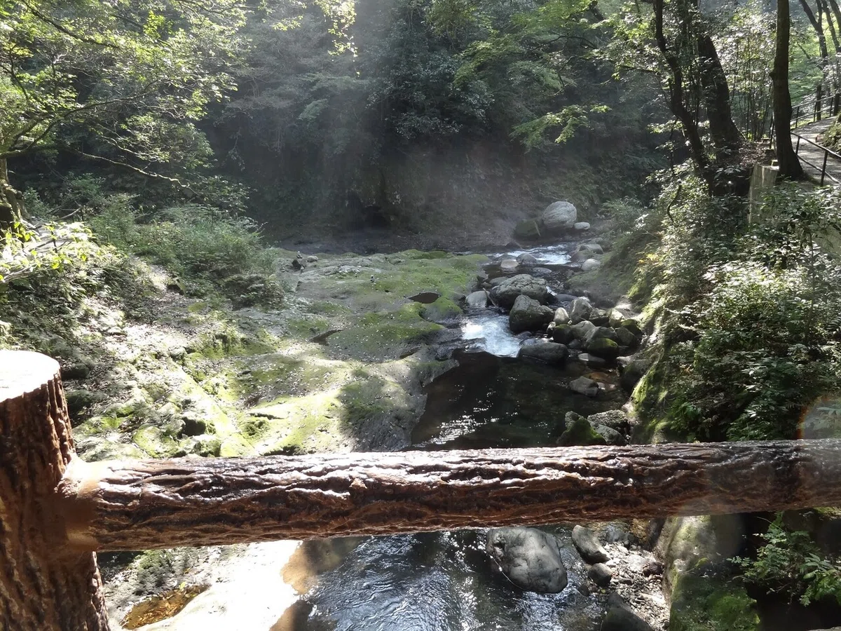 画像14