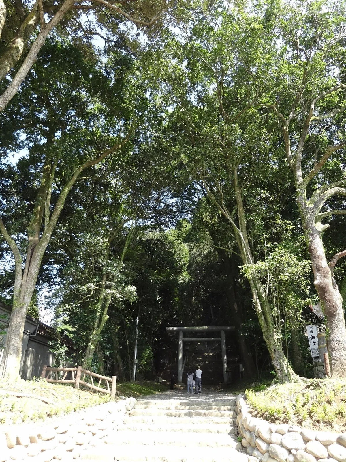 画像23