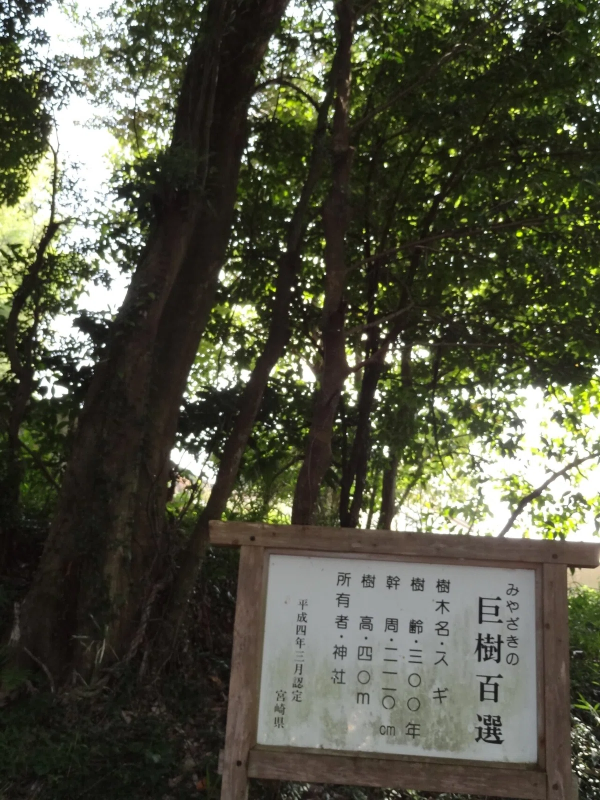画像26