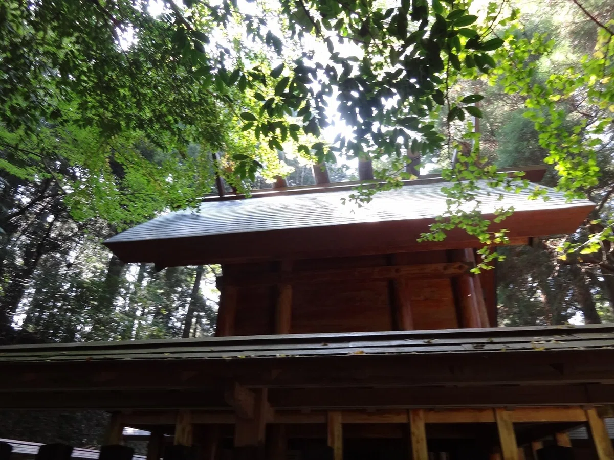 画像31