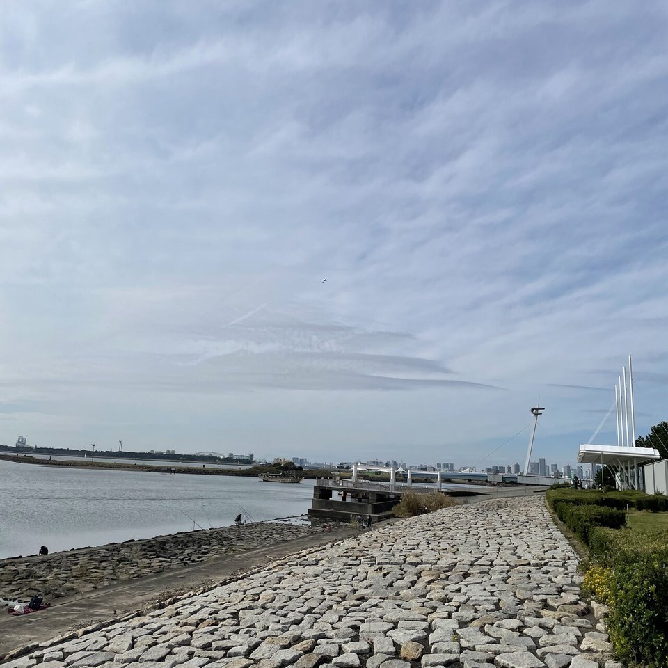 日記 ピクミン鳥見んぐ つづく Note