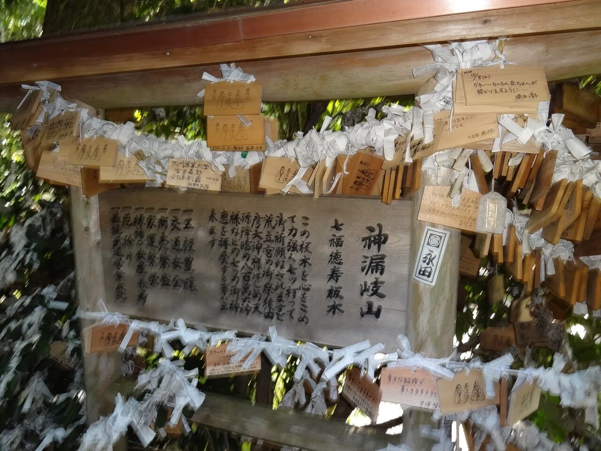 画像4