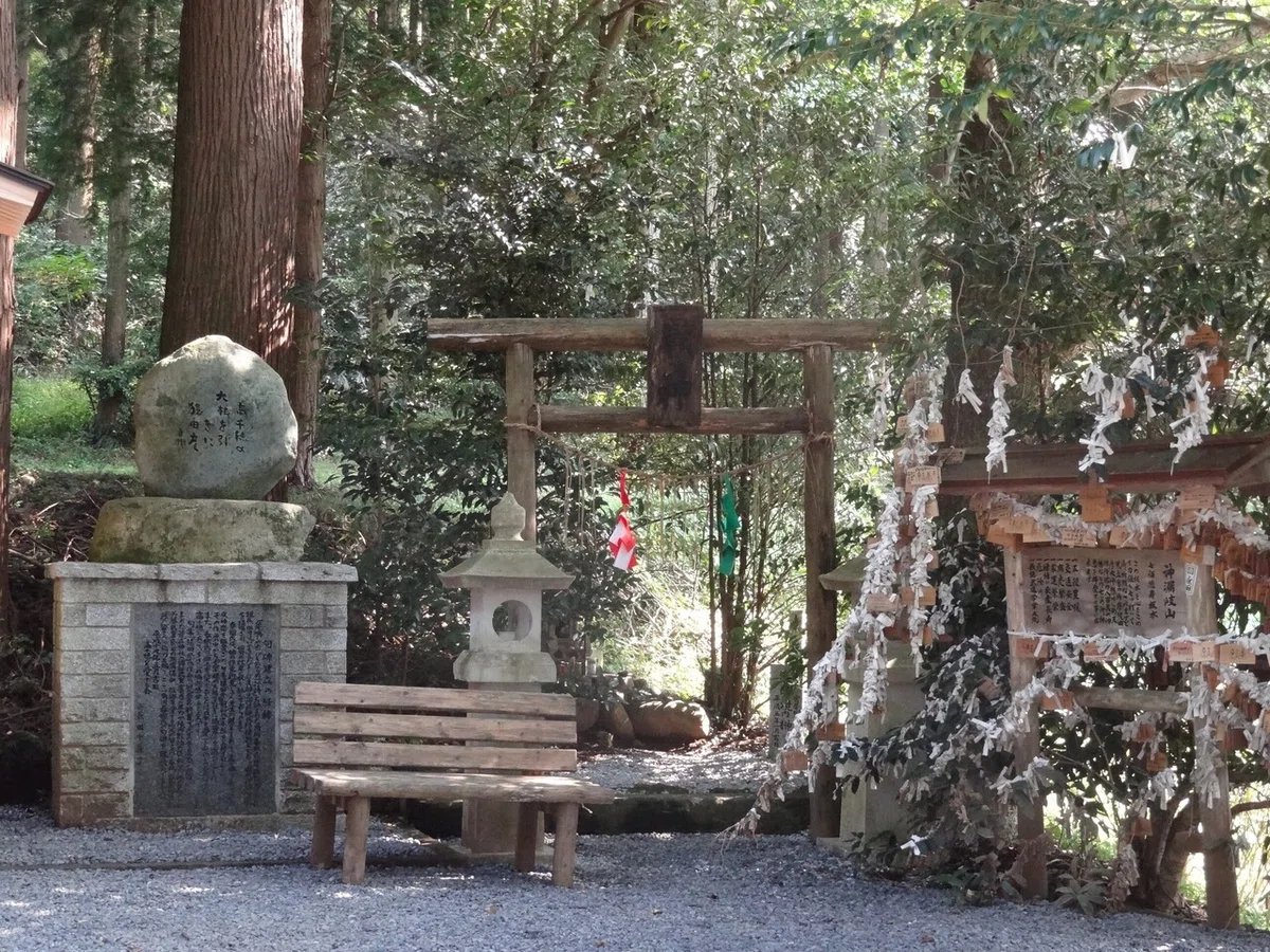 画像5