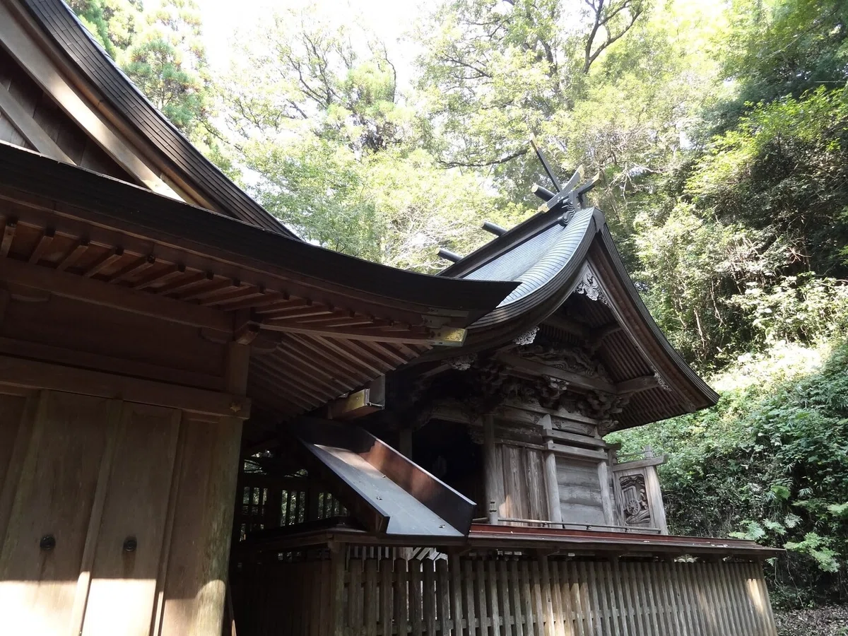 画像7