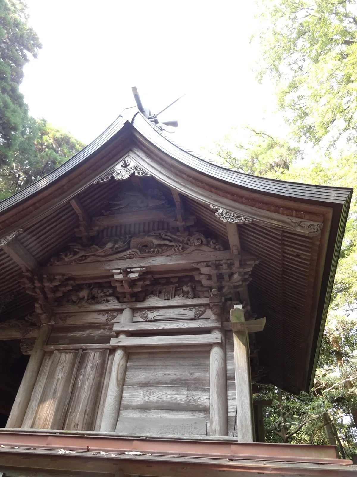 画像11